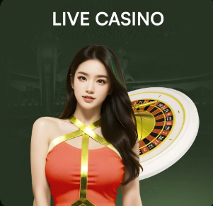 记者：全中超有望参加世界杯的独苗是浙江队韩国外援朴镇燮